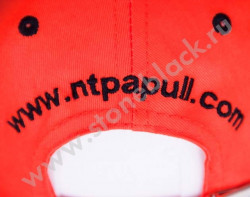Бейсболка NTPA