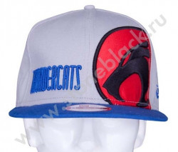 Бейсболка THUNDERCATS