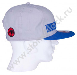 Бейсболка THUNDERCATS