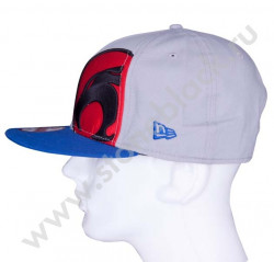 Бейсболка THUNDERCATS