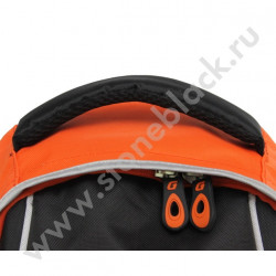 Рюкзак G-Energy 2017