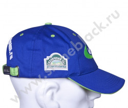 Бейсболка Шишкин лес
