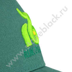 Бейсболка Rijk Zwaan