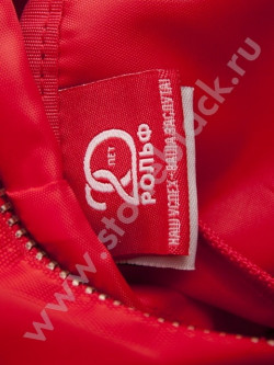 Спортивная сумка Рольф 20 лет