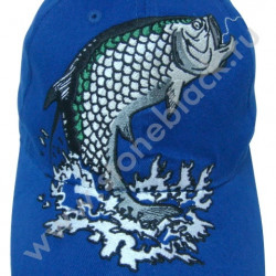 Бейсболка EVONIK