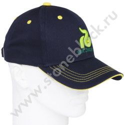 Бейсболки Rijk Zwaan