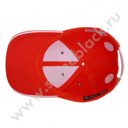 Бейсболка NGK