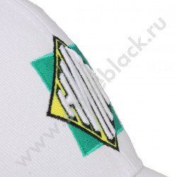 Бейсболки НИПТ