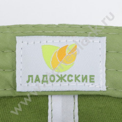 Бейсболка Ладожские