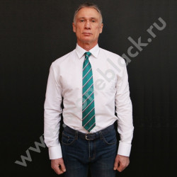 Галстук Прио-Внешторгбанк