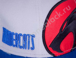 Бейсболка THUNDERCATS