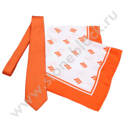 Галстуки Автодор – Платные Дороги