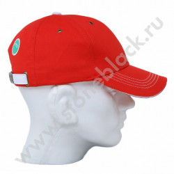 Бейсболка NGK