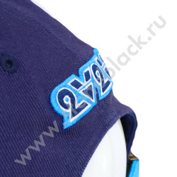 Бейсболки Veigel 2020