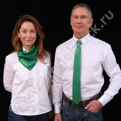 Платки Schaeffler