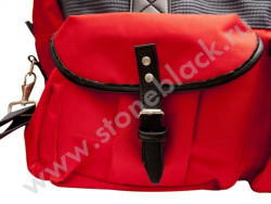 Спортивная сумка Рольф 20 лет