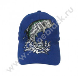 Бейсболка EVONIK