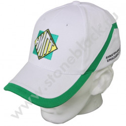 Бейсболки НИПТ