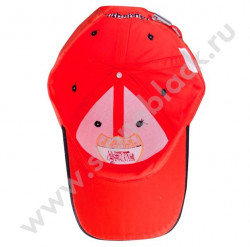 Бейсболка NTPA