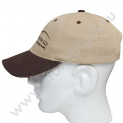 Бейсболка ФЭРОЭЛЕКТРОМАШ