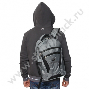 Толстовка СБЕРБАНК (серая)