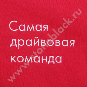 Толстовка Все Инструменты (женская)