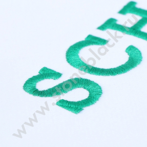 Толстовка SCHAEFFLER (белая, женская)