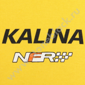 Толстовка РОСНЕФТЬ (женская)