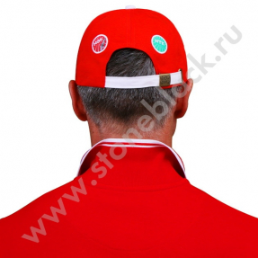 Рубашка поло NGK