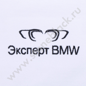 Рубашки поло с длинным рукавом BMW Genius