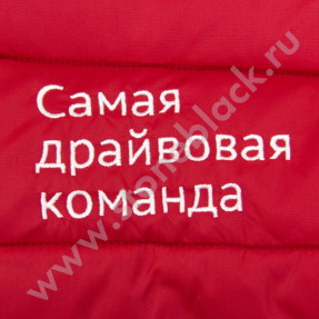 Жилет ВСЕ ИНСТРУМЕНТЫ