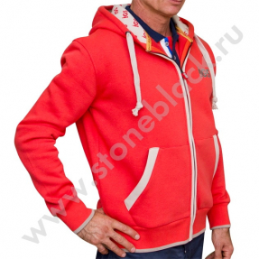 Толстовка Инвестгеосервис (мужская)