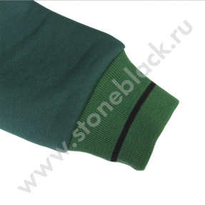 Толстовка СБЕРБАНК (мужская зеленая)