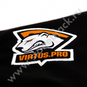 Толстовка VIRTUS.PRO (мужская)