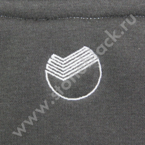 Толстовка СБЕРБАНК (женская)