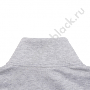 Олимпийки Viessmann