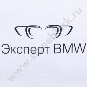 Рубашки поло с длинным рукавом BMW Genius