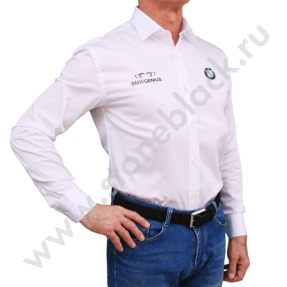Сорочки BMW Genius