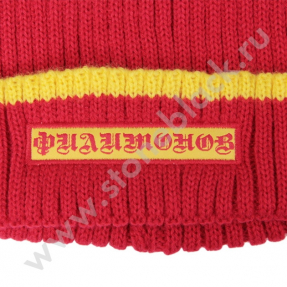 Вязаная шапка и перчатки (touchscreen) Филимонов