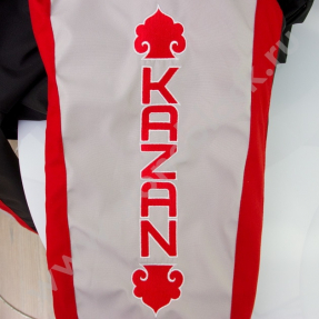 Куртка с капюшоном TAIF