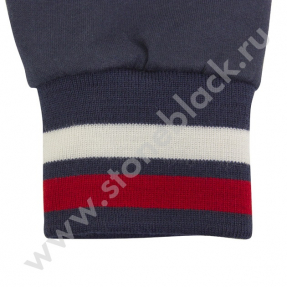 Толстовка AUDI