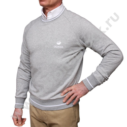 Модель Толстовка свитшот